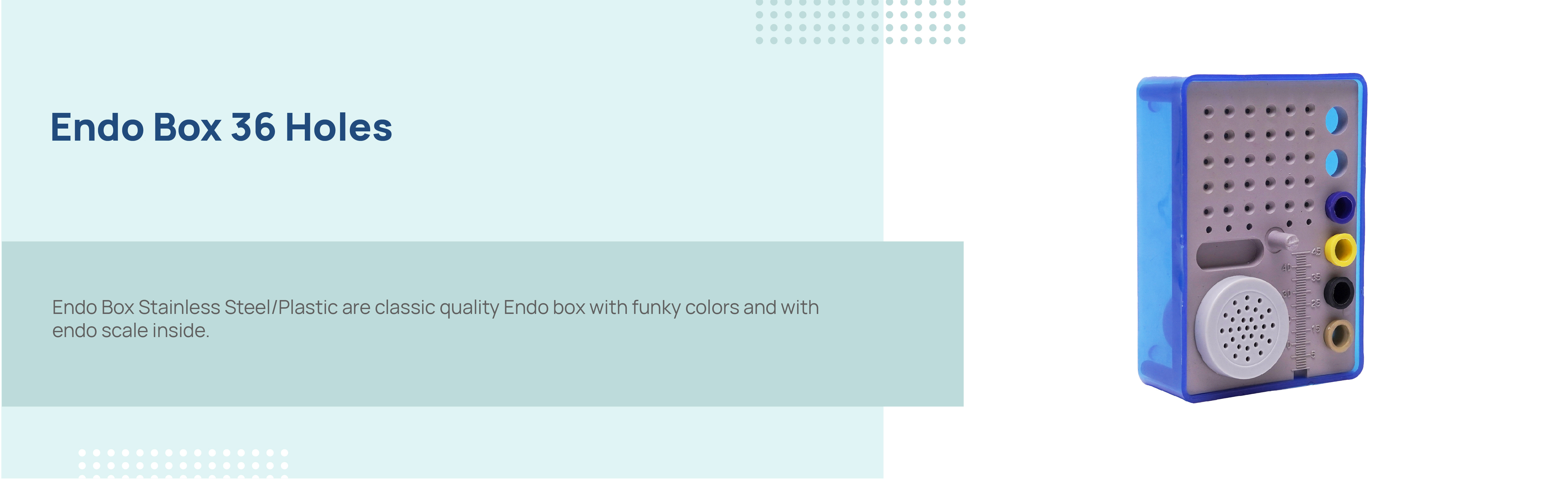 Buy Endo Box 36 Holes (Plastic) Online at Best Prices